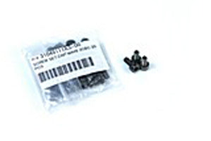 SCREW HEX CAP BC 4X8 (20-pc)