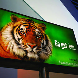 Roland ESM-GBF Glossy Film