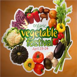 Roland ESM-SGPA Solvent Glossy Paper with Adhesive