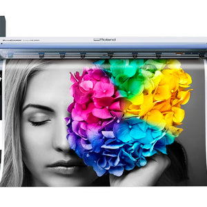 Roland VersaCAMM VSi Series Wide-Format Inkjet Printers, VS-300i, VS-540i, VS-640i
